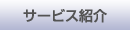 �����ӥ��Ҳ�